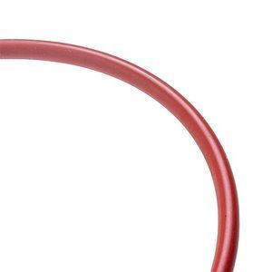Прокладка O-Ring 176 бойлера для кавомашини Philips Saeco 140322962 00000018645 фото